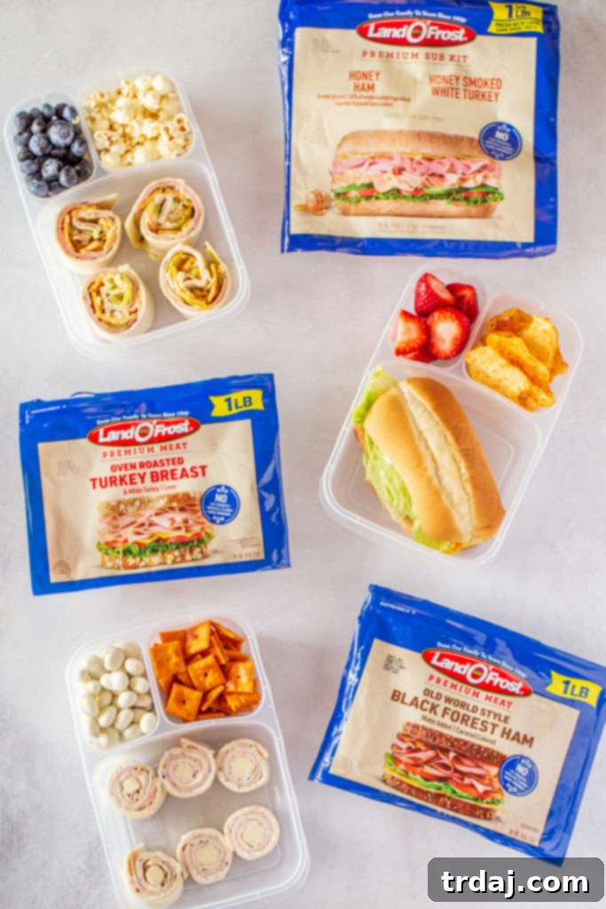 A vibrant and organized bento box lunch featuring a turkey sub sandwich, fresh berries, and other snacks, ready for back to school.