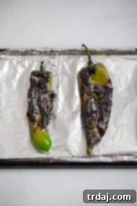 Broiled Anaheim Chiles on Baking Sheet Several roasted Anaheim chiles with blackened, blistered skin resting on a foil-lined baking sheet, having just come out of the broiler.