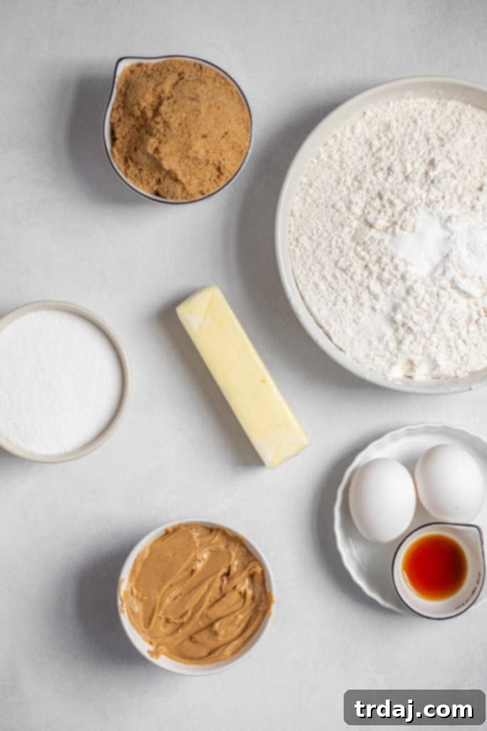 A comprehensive collection of ingredients arranged neatly for making peanut butter chocolate cookies, including butter, various sugars, peanut butter, eggs, vanilla extract, flour, baking soda, and baking powder.