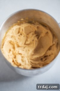 Cookie dough in the bowl of a stand mixer, showcasing the creamy, light texture after thoroughly mixing butter and sugars.