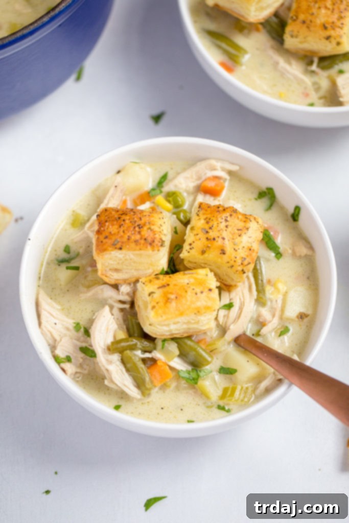 Close-up of a bowl of chicken pot pie soup with croutons, garnished with fresh herbs