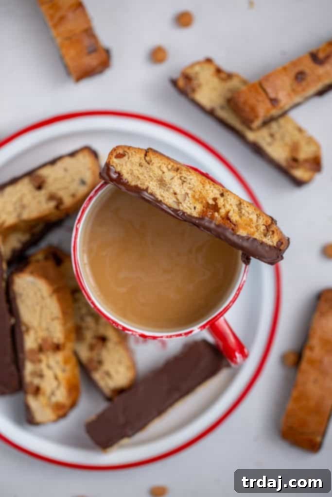Delicious Turtle Biscotti dipped in chocolate and filled with caramel and pecans.