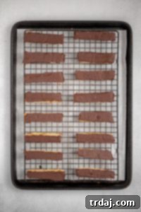 Chocolate-dipped biscotti on a cooling rack.