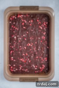 Minty Blondie Bars 6 Warm blondies topped with melted chocolate and crushed candy canes, cooling in the pan