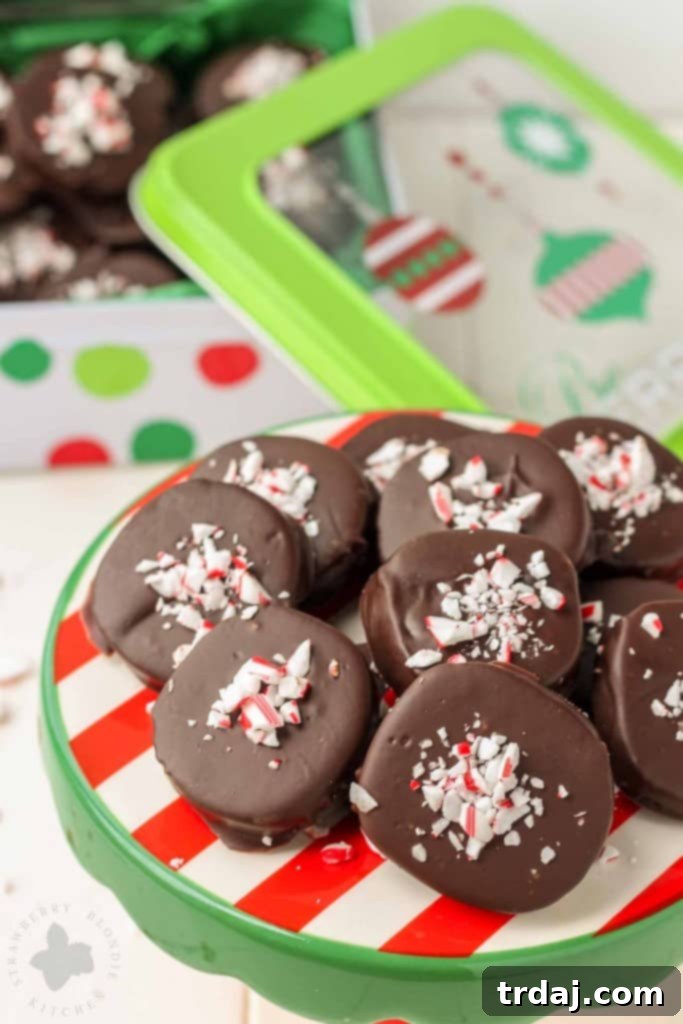 Festive Peppermint Chocolate Cookies 2 Rich Chocolate Peppermint Cookies topped with crushed candy canes, perfect for holiday baking and festive celebrations.
