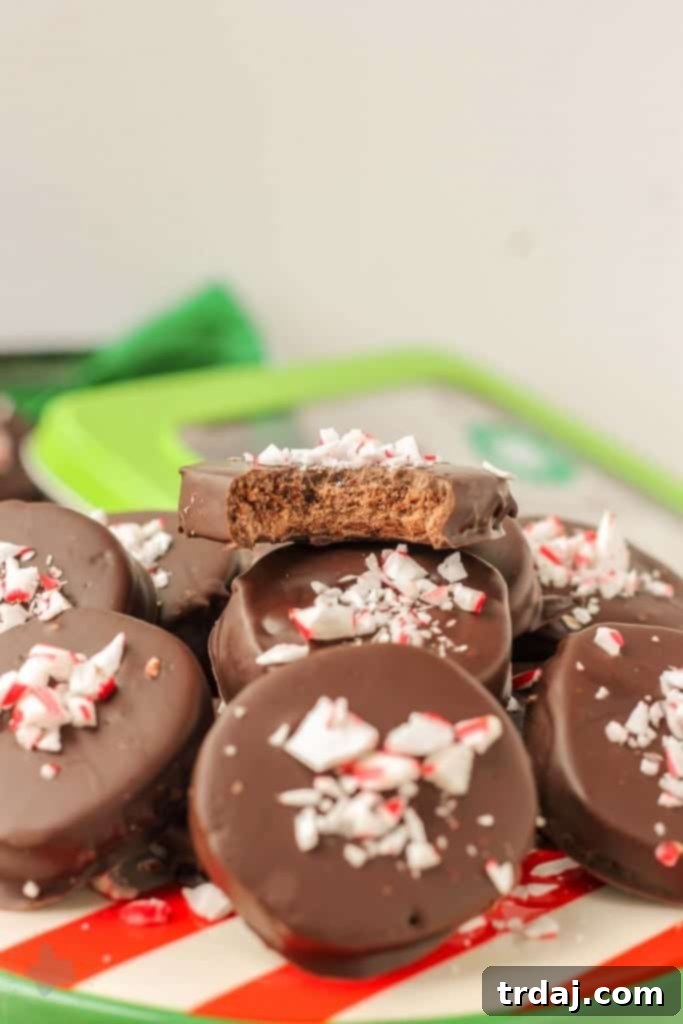 Festive Peppermint Chocolate Cookies 3 Chocolate Peppermint Cookies arranged on a holiday platter, garnished with vibrant candy cane pieces.