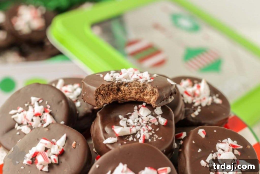 Festive Peppermint Chocolate Cookies 5 A plate of freshly baked Chocolate Peppermint Cookies, ready to be enjoyed during the holidays.