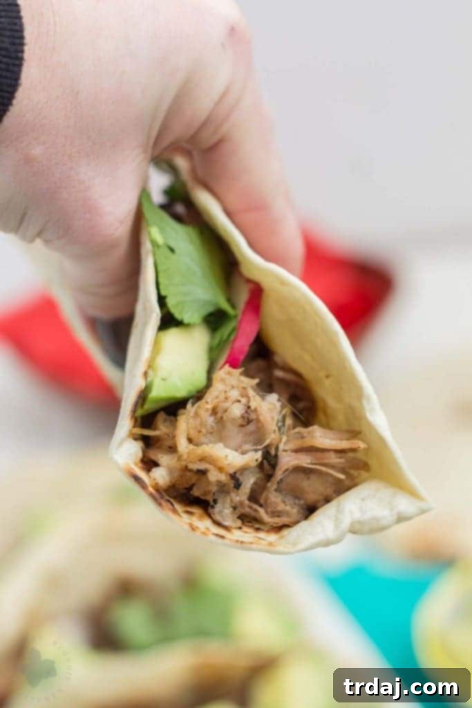 A generous serving of Slow Cooker Spicy Pork Carnitas in a rustic bowl, ready to be enjoyed.