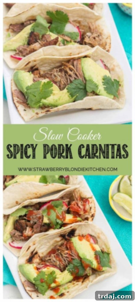 A mouth-watering close-up of Slow Cooker Spicy Pork Carnitas on a tortilla with fresh cilantro.