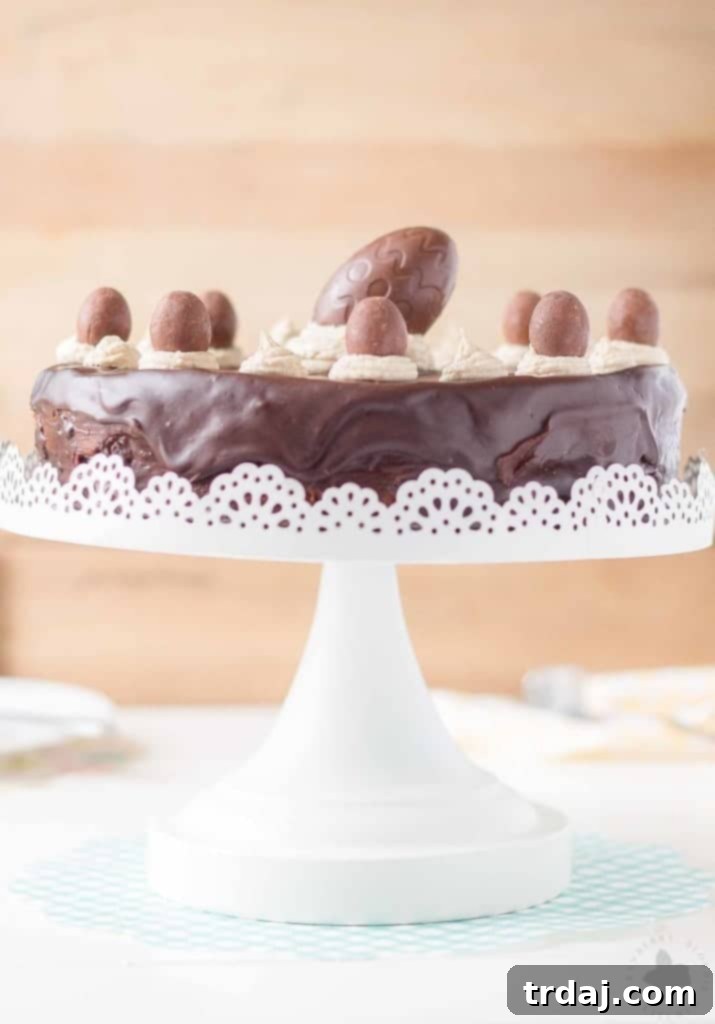 Butterfinger Crunch Cheesecake Pie 3 Beautifully crafted BUTTERFINGER® Cheesecake Pie, a family favorite dessert.