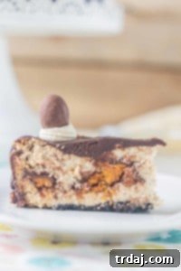 Butterfinger Crunch Cheesecake Pie 7 Layers of chocolate cookie crust, peanut butter cheesecake, BUTTERFINGER® Cup Eggs, chocolate ganache and peanut butter frosting, this BUTTERFINGER® Cheesecake Pie is a peanut butter lovers dream! | Strawberry Blondie Kitchen