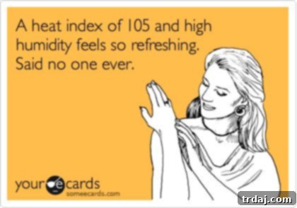 Humorous ecard about intense summer humidity, relatable for anyone experiencing sticky weather