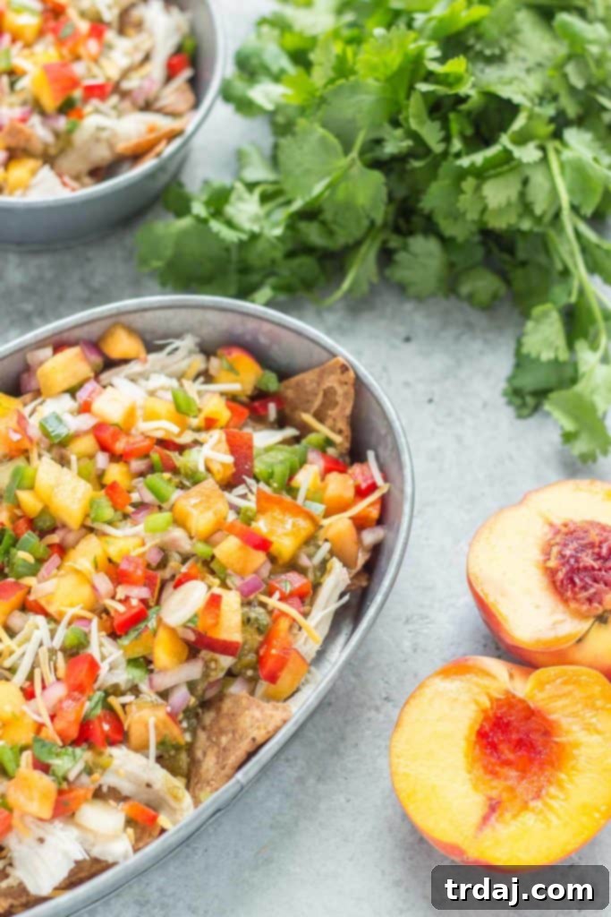 Overhead view of a serving of Chicken Nachos with Peach Salsa, showcasing the fresh ingredients and inviting colors.