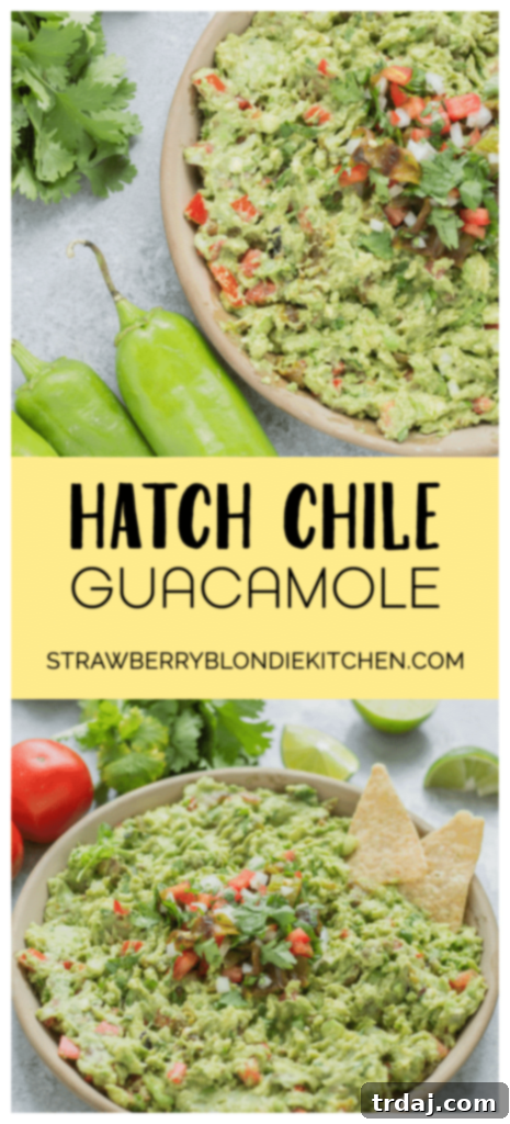 An appetizing spread of Hatch Chile Guacamole with various dippers, perfect for sharing