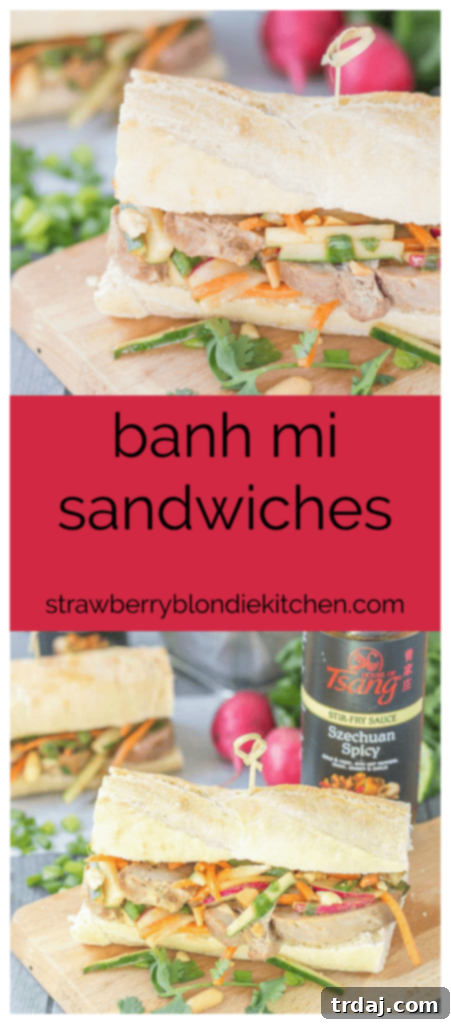 Promotional image for House of Tsang Banh Mi recipe