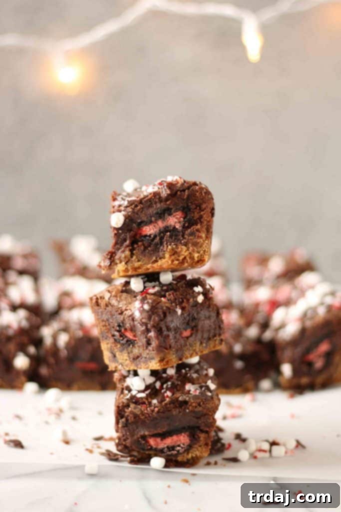 Delicious Peppermint Hot Chocolate Brookies with crushed peppermint and mini marshmallows