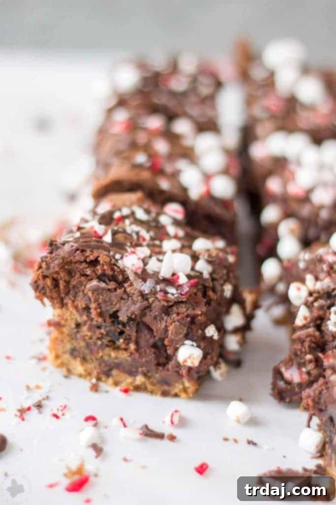 Close-up of layers in Peppermint Hot Chocolate Brookies