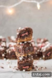 Peppermint Hot Chocolate Brookies, a festive holiday dessert