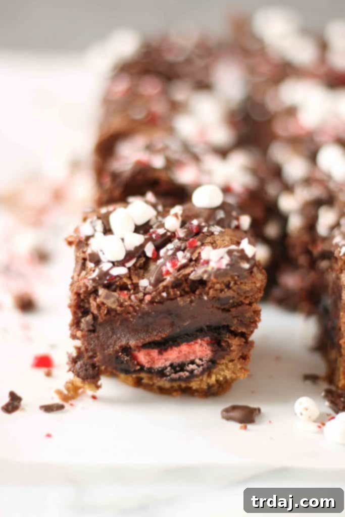 A final close-up of Peppermint Hot Chocolate Brookies, showcasing their rich toppings