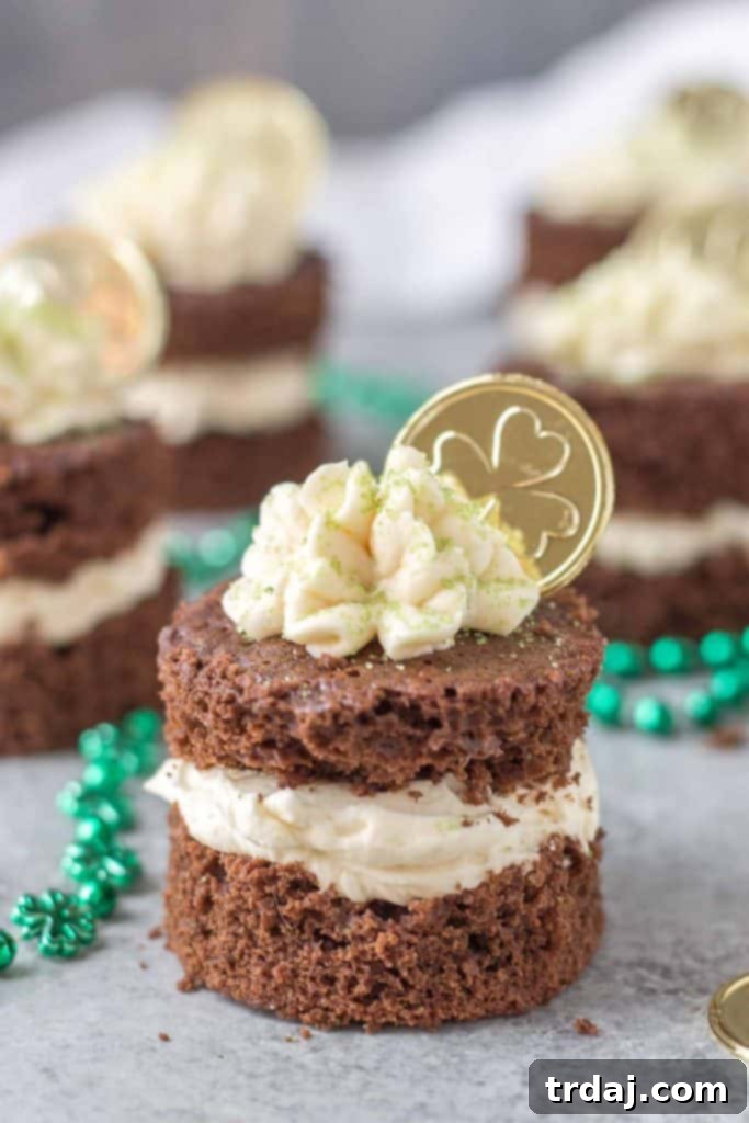 Finished Chocolate Guinness Mini Cakes with Baileys Buttercream, adorned with green sprinkles and gold coins.