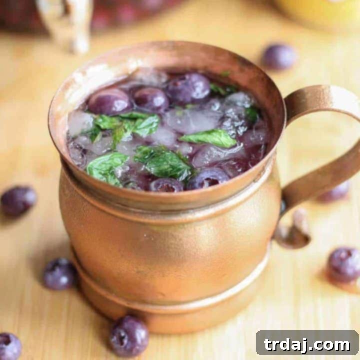 Blueberry Moscow Mule with homemade blueberry vodka