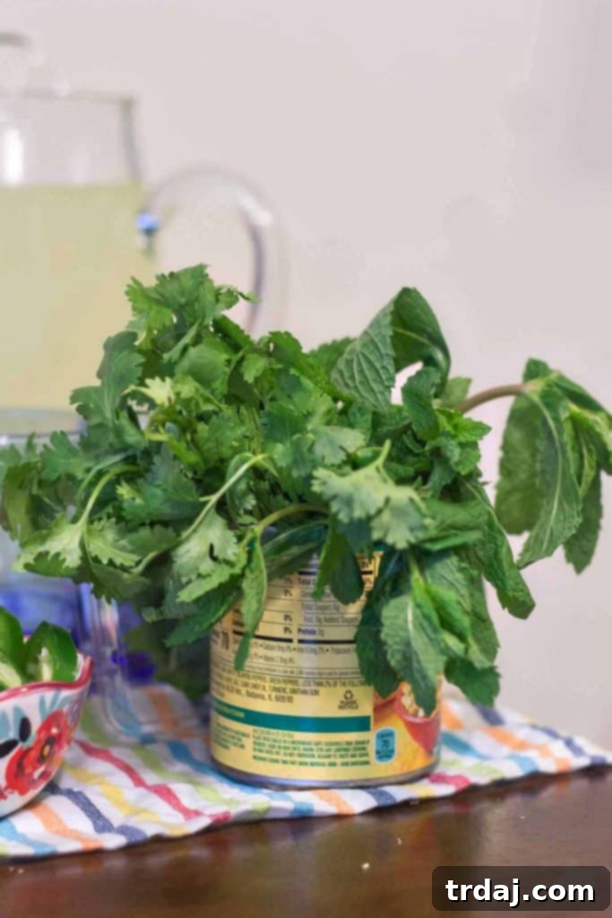 Creative Cinco de Mayo decorations including repurposed cans for utensils and succulents, colorful pom-poms, and festive dinnerware on a decorated table.
