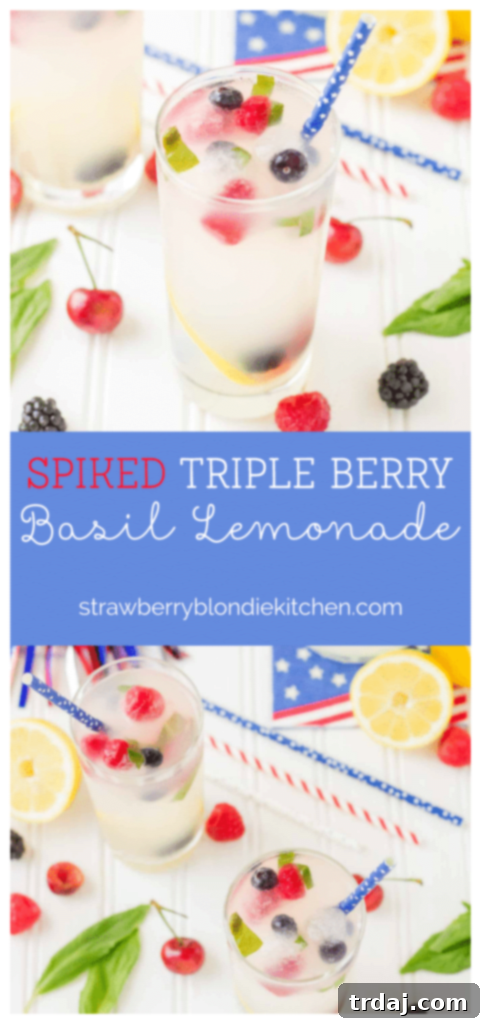 A refreshing Spiked Triple Berry Basil Lemonade cocktail with a call to action for subscribing to the blog's newsletter.