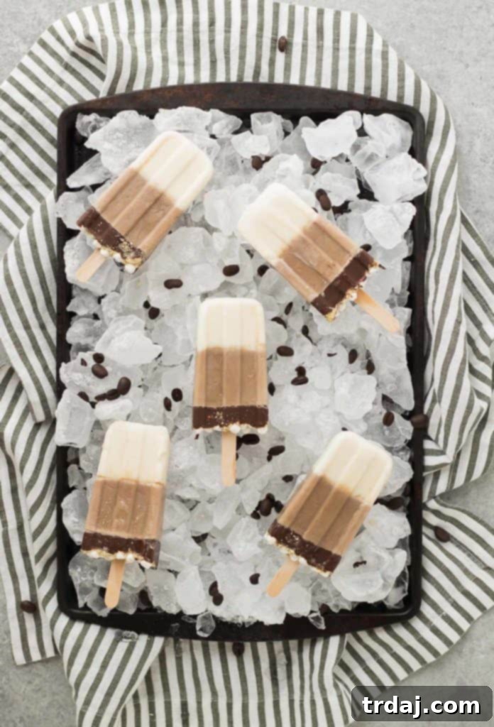 All the flavors you love of s'mores and coffee combined to give you one deliciously cool, refreshing and caffeine spiked popsicle. | Strawberry Blondie Kitchen