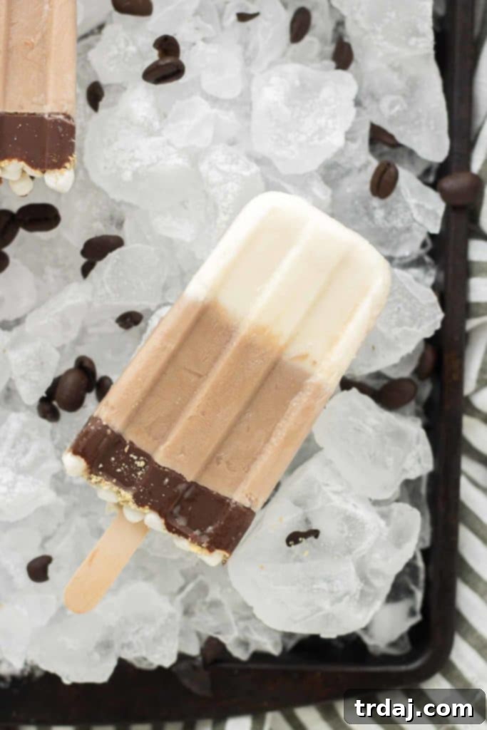 All the flavors you love of s'mores and coffee combined to give you one deliciously cool, refreshing and caffeine spiked popsicle. | Strawberry Blondie Kitchen