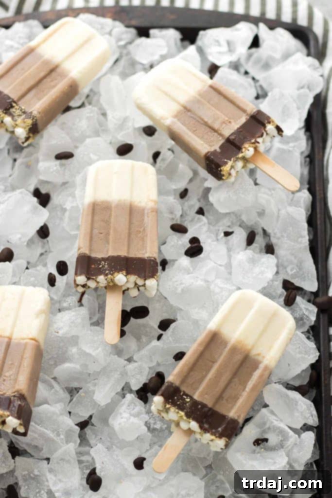 All the flavors you love of s'mores and coffee combined to give you one deliciously cool, refreshing and caffeine spiked popsicle. | Strawberry Blondie Kitchen