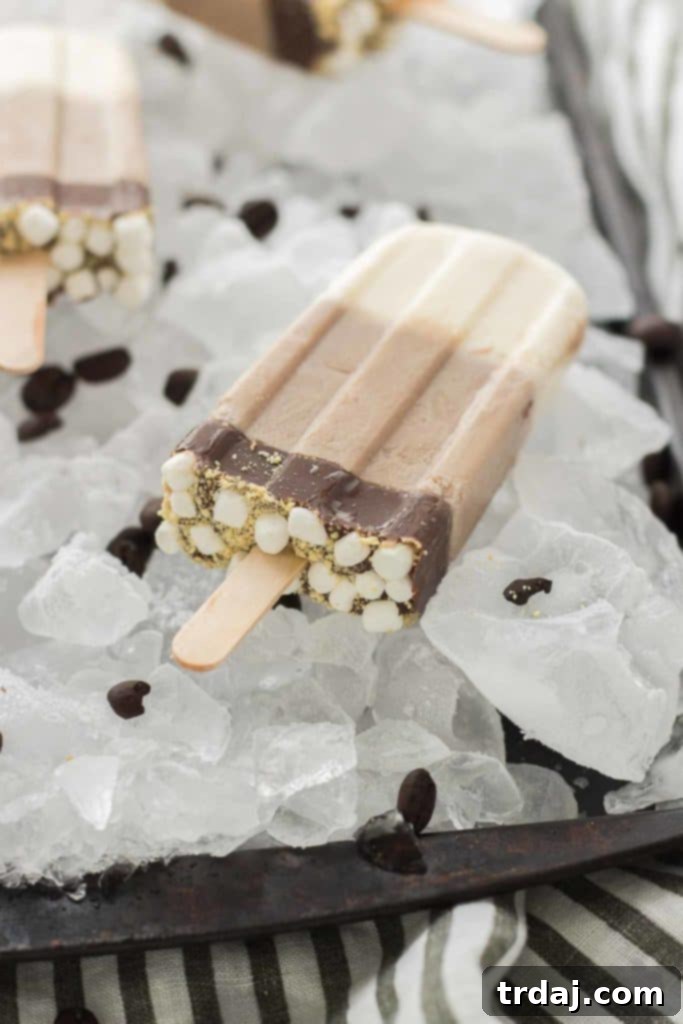 All the flavors you love of s'mores and coffee combined to give you one deliciously cool, refreshing and caffeine spiked popsicle. | Strawberry Blondie Kitchen