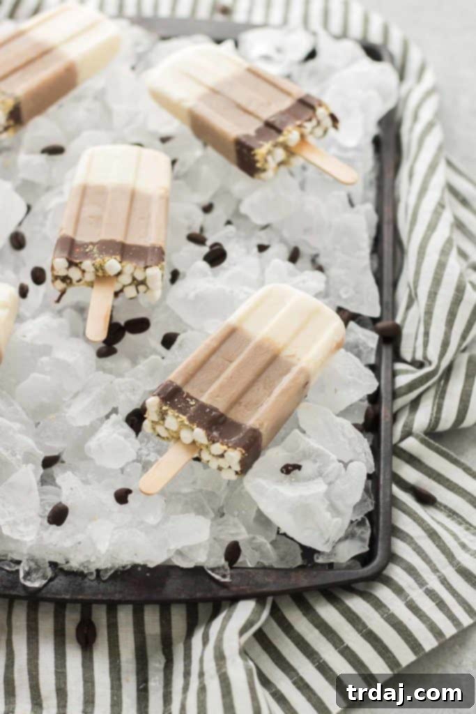 All the flavors you love of s'mores and coffee combined to give you one deliciously cool, refreshing and caffeine spiked popsicle. | Strawberry Blondie Kitchen