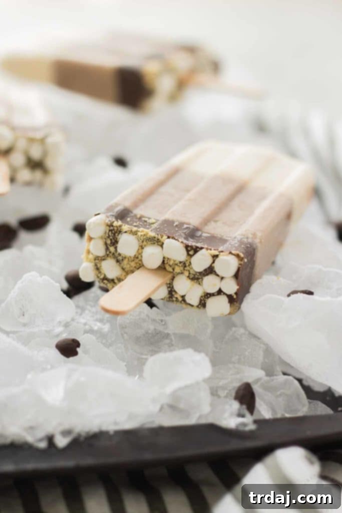 All the flavors you love of s'mores and coffee combined to give you one deliciously cool, refreshing and caffeine spiked popsicle. | Strawberry Blondie Kitchen