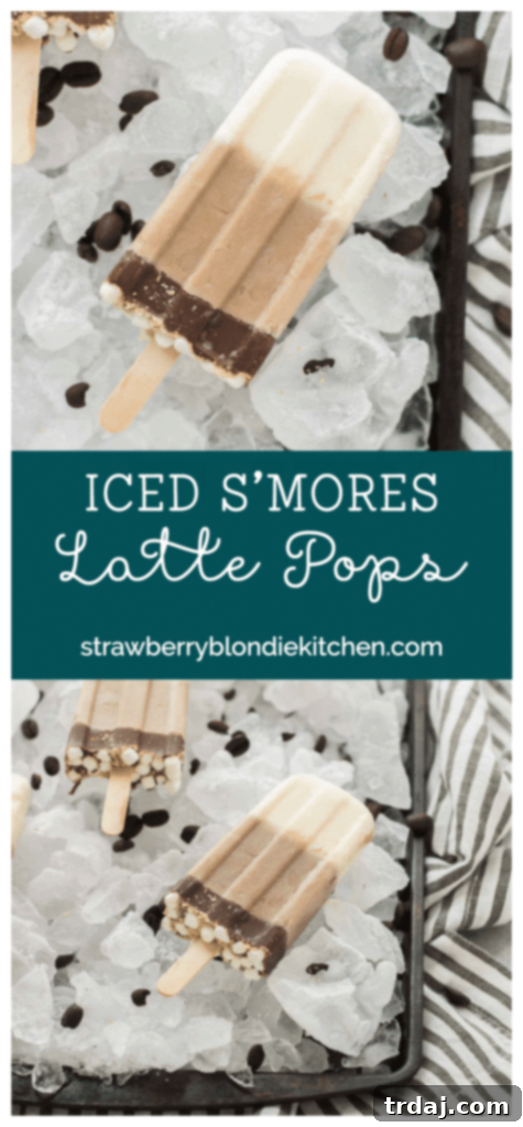 All the flavors you love of s'mores and coffee combined to give you one deliciously cool, refreshing and caffeine spiked popsicle. | Strawberry Blondie Kitchen