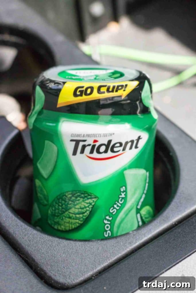 Family enjoying road trip snacks and games, creating happy memories