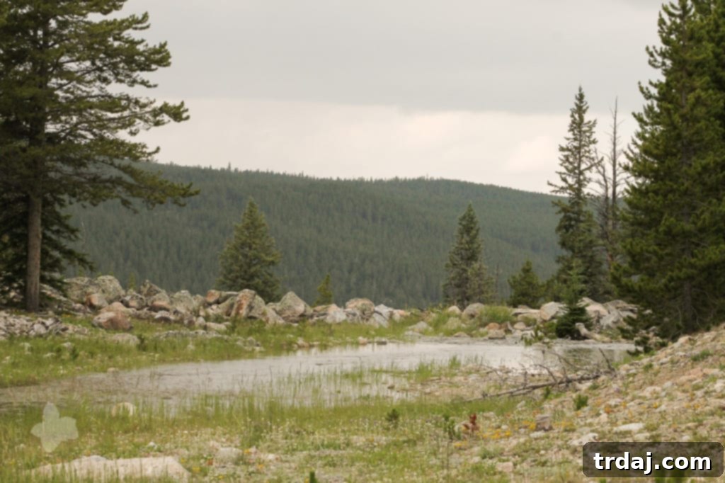 Family enjoying the scenic road trip, pointing out landmarks and having fun