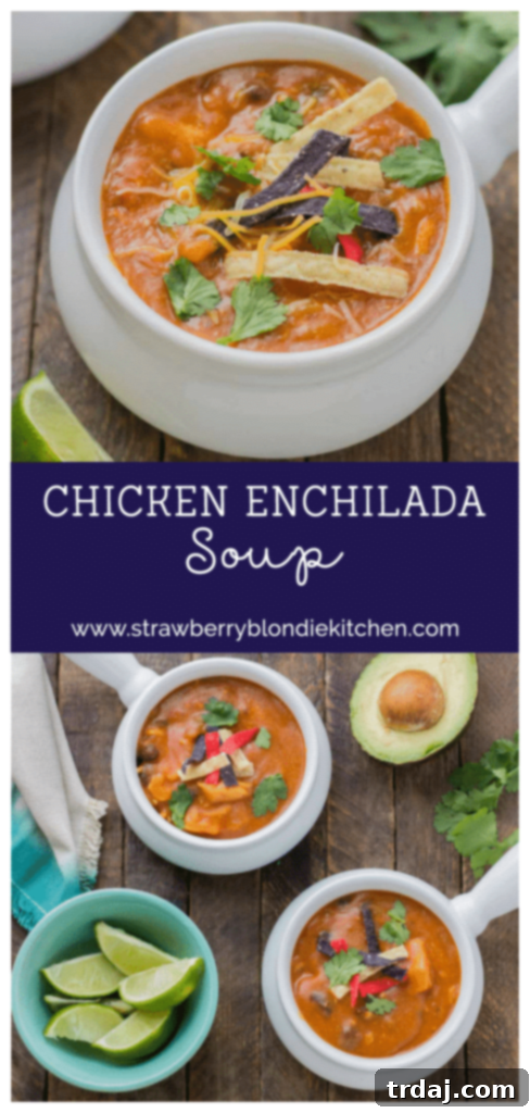 Easy One-Pot Chicken Enchilada Soup: Perfect for busy weeknights and back-to-school meals. Get ingredients at Walmart.
