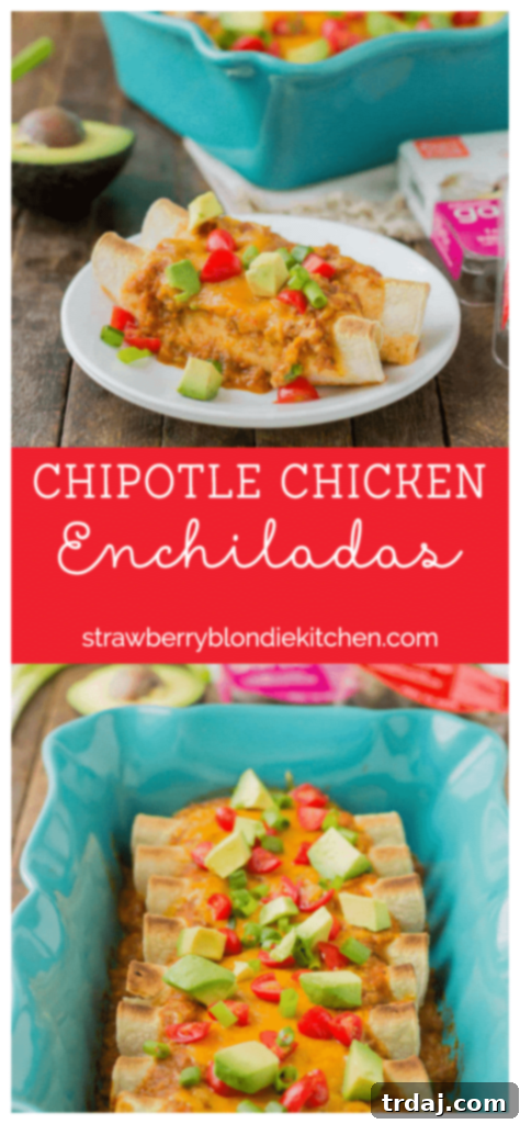 Pin-friendly image for Chipotle Chicken Enchiladas, highlighting the delicious meal.
