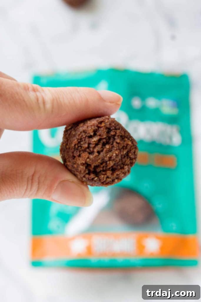 Sejoyia Coco-Roons Brownie: Rich, Deep, and Indulgently Chocolaty