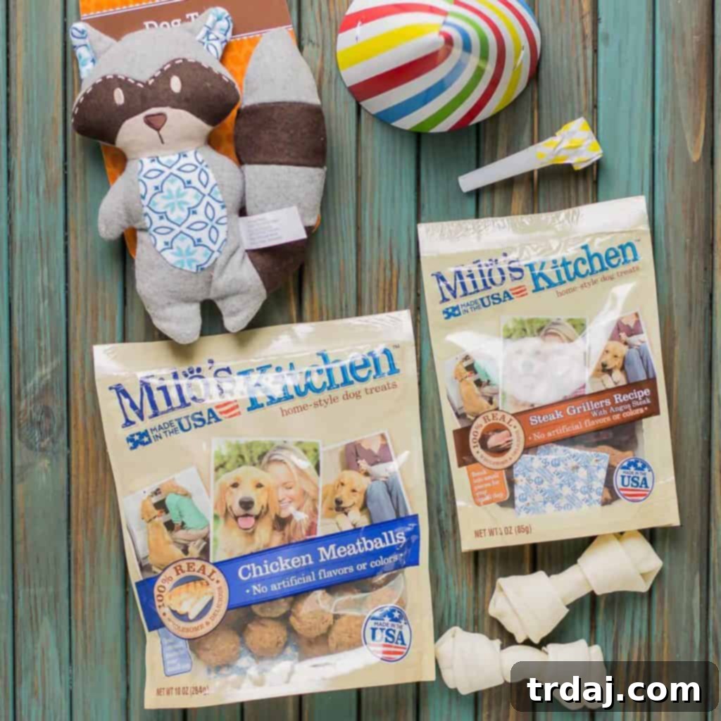 Dudley, the dog, happily playing with his new raccoon toy during his birthday celebration. | Strawberry Blondie Kitchen