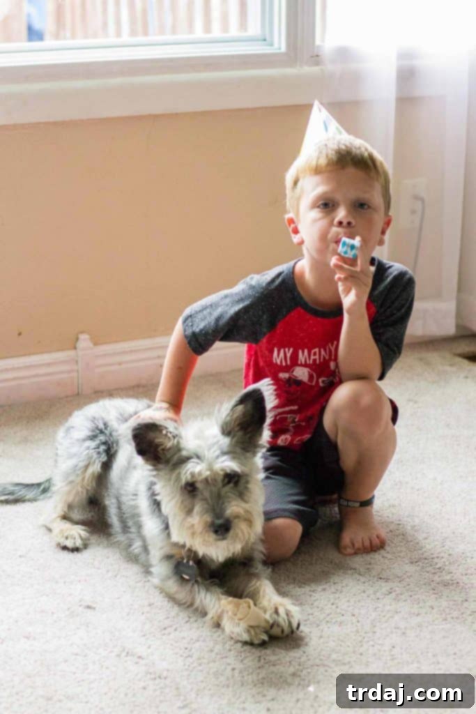 A happy dog, Dudley, ready to enjoy his birthday celebration with Milo