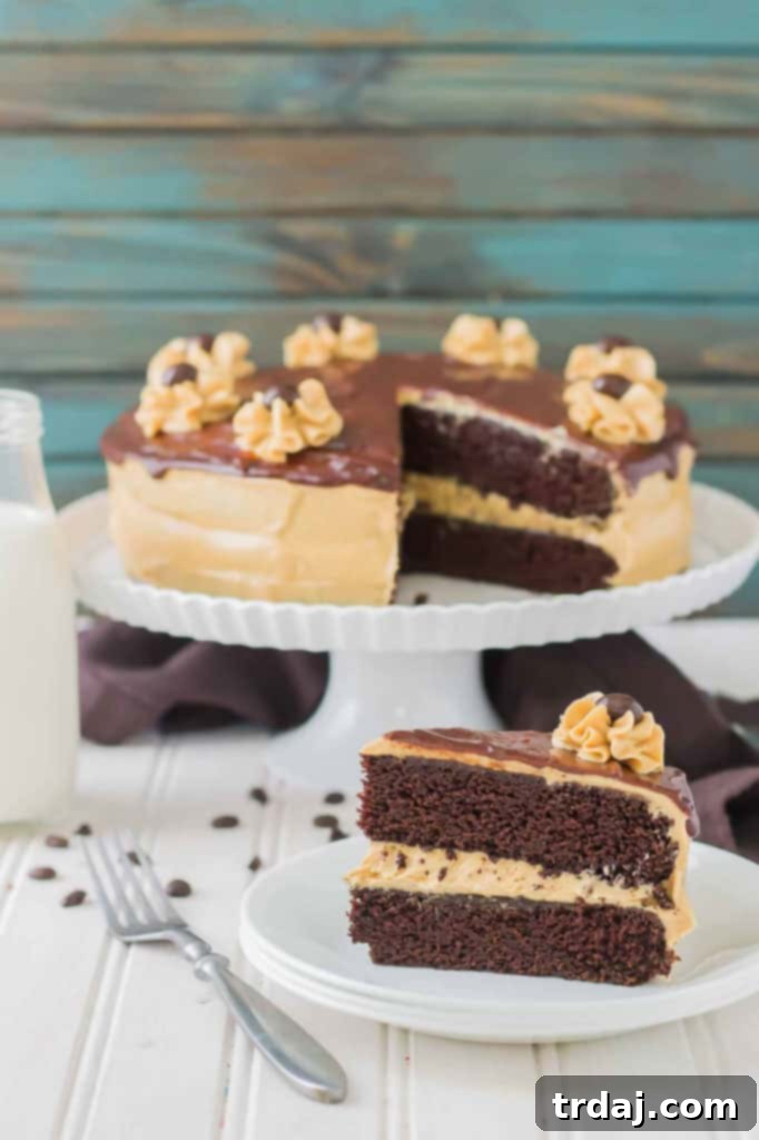 Rich chocolate espresso cakes are layered with Pillsbury™ Peanut Butter Frosting made with real Jif® Peanut Butter to create this Peanut Butter Espresso Cake which is the ultimate cake lover’s dream! | Strawberry Blondie Kitchen