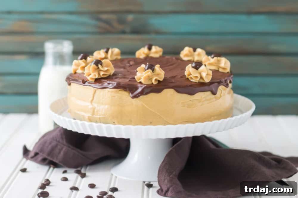 Rich chocolate espresso cakes are layered with Pillsbury™ Peanut Butter Frosting made with real Jif® Peanut Butter to create this Peanut Butter Espresso Cake which is the ultimate cake lover’s dream! | Strawberry Blondie Kitchen