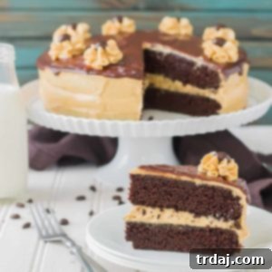 Rich chocolate espresso cakes are layered with Pillsbury™ Peanut Butter Frosting made with real Jif® Peanut Butter to create the ultimate cake lover’s dream! | Strawberry Blondie Kitchen