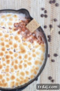 Skillet S'mores Dip ready to be served