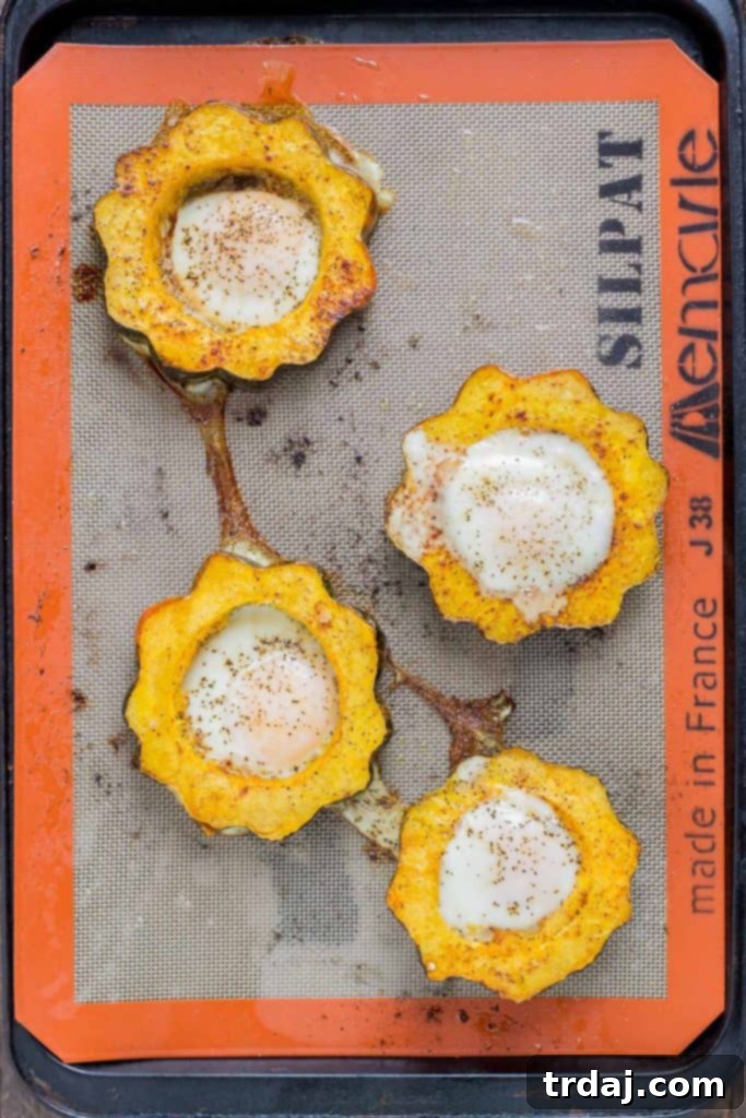 Everything Bagel Squash Egg in the Hole with a perfectly runny yolk