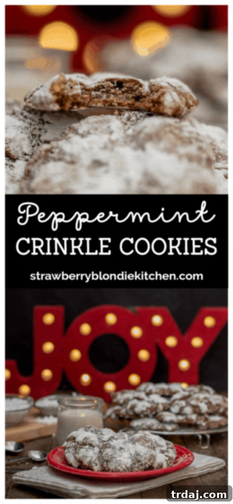Pin this Peppermint Crinkle Cookies recipe for later, showing a perfect stack of cookies with a mint leaf garnish.