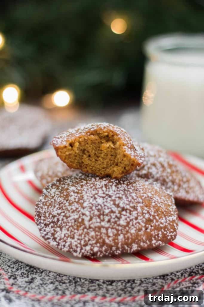 A delicate Gingerbread Madeleine, captured in close-up, revealing its fine crumb and the gentle curve of its shell design. The soft focus enhances its inviting and irresistible qualities.