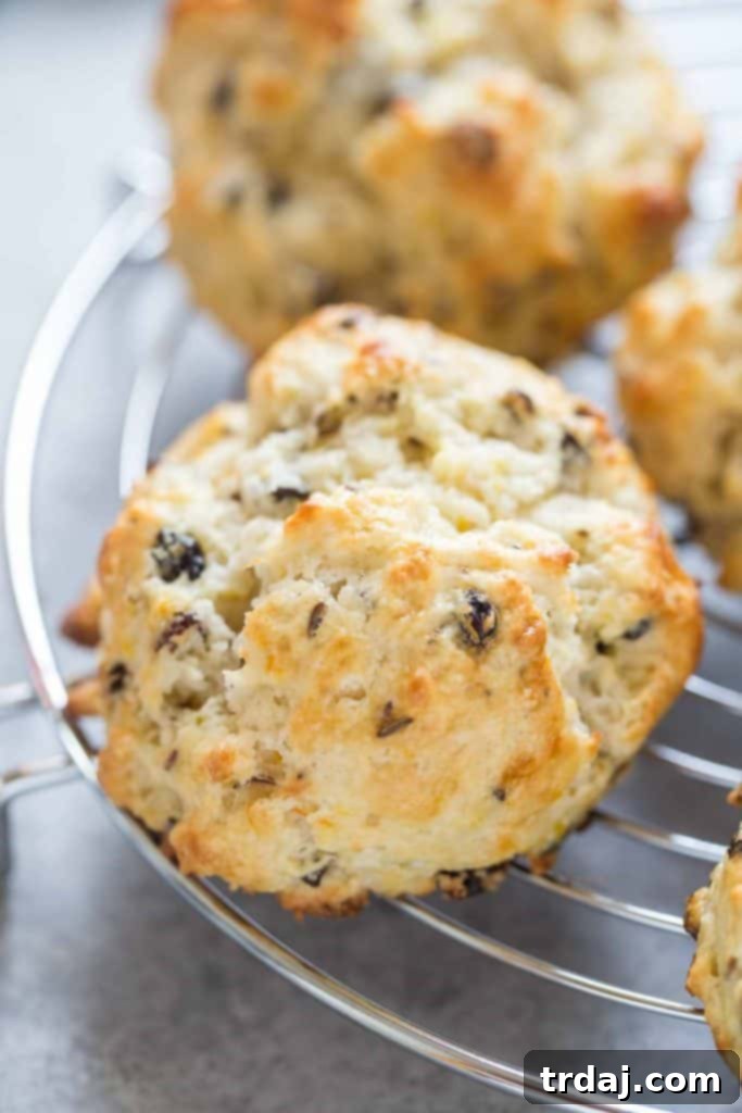 Warm Irish Soda Bread Scones on a cooling rack, ready to be served