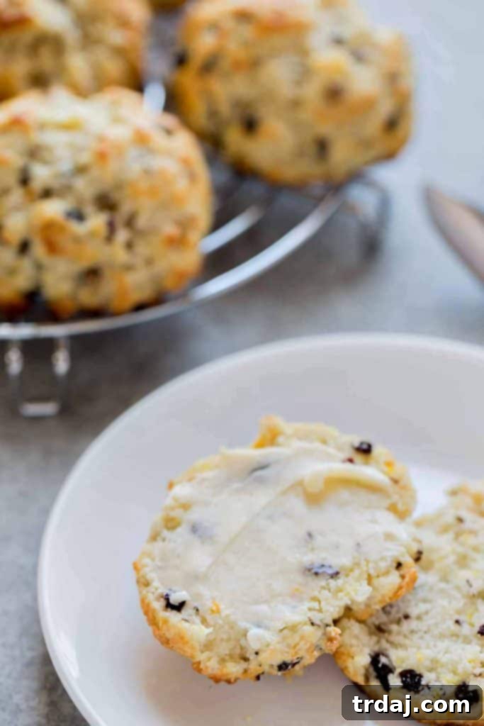 A plate of Irish Soda Bread Scones with a drizzle of honey